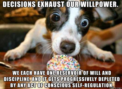 post-44157-dog-cupcake-willpower-meme-img-molx